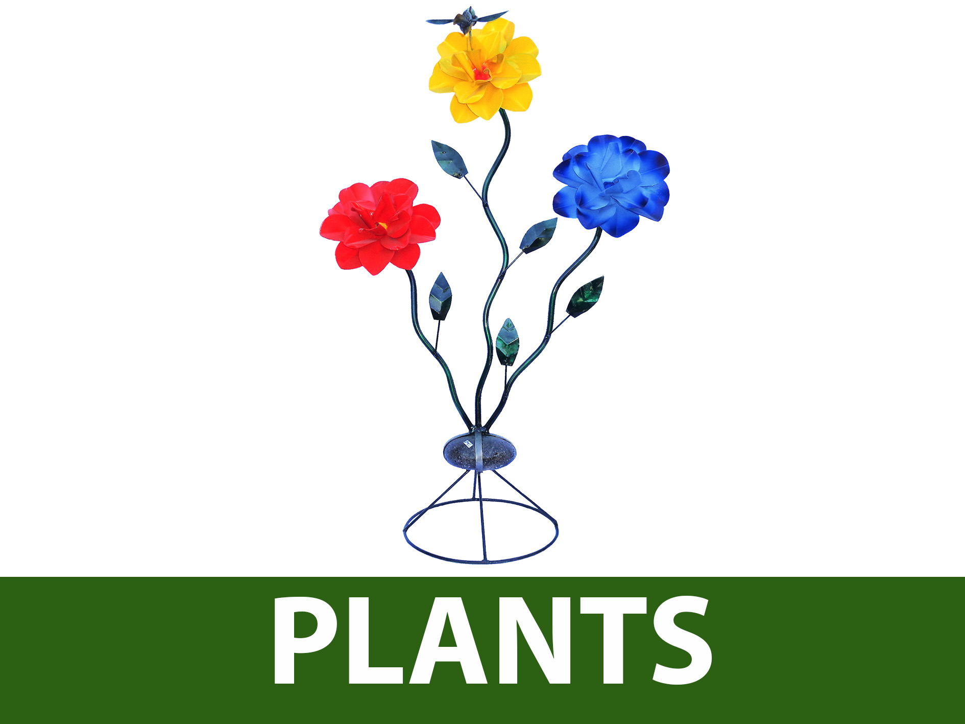 Plants